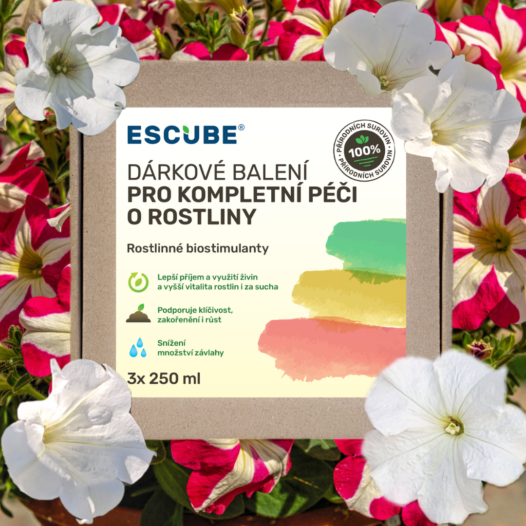 Dárkové balení 1_cz--cs-CZ